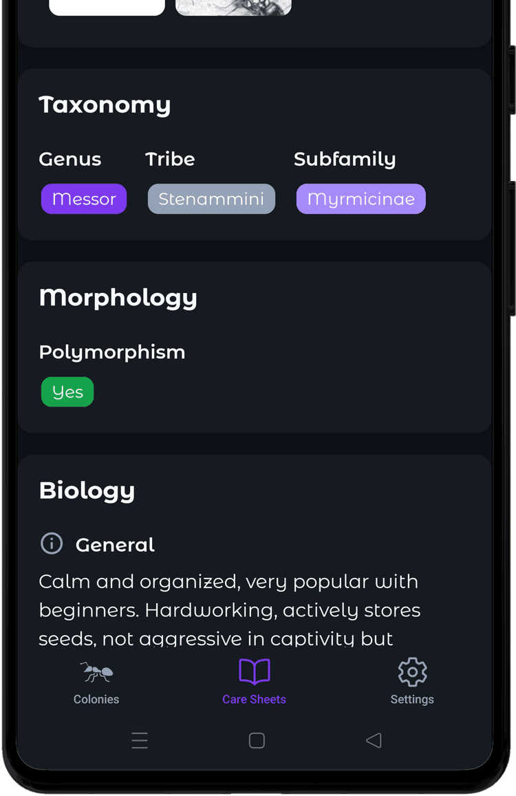 All breeding sheets