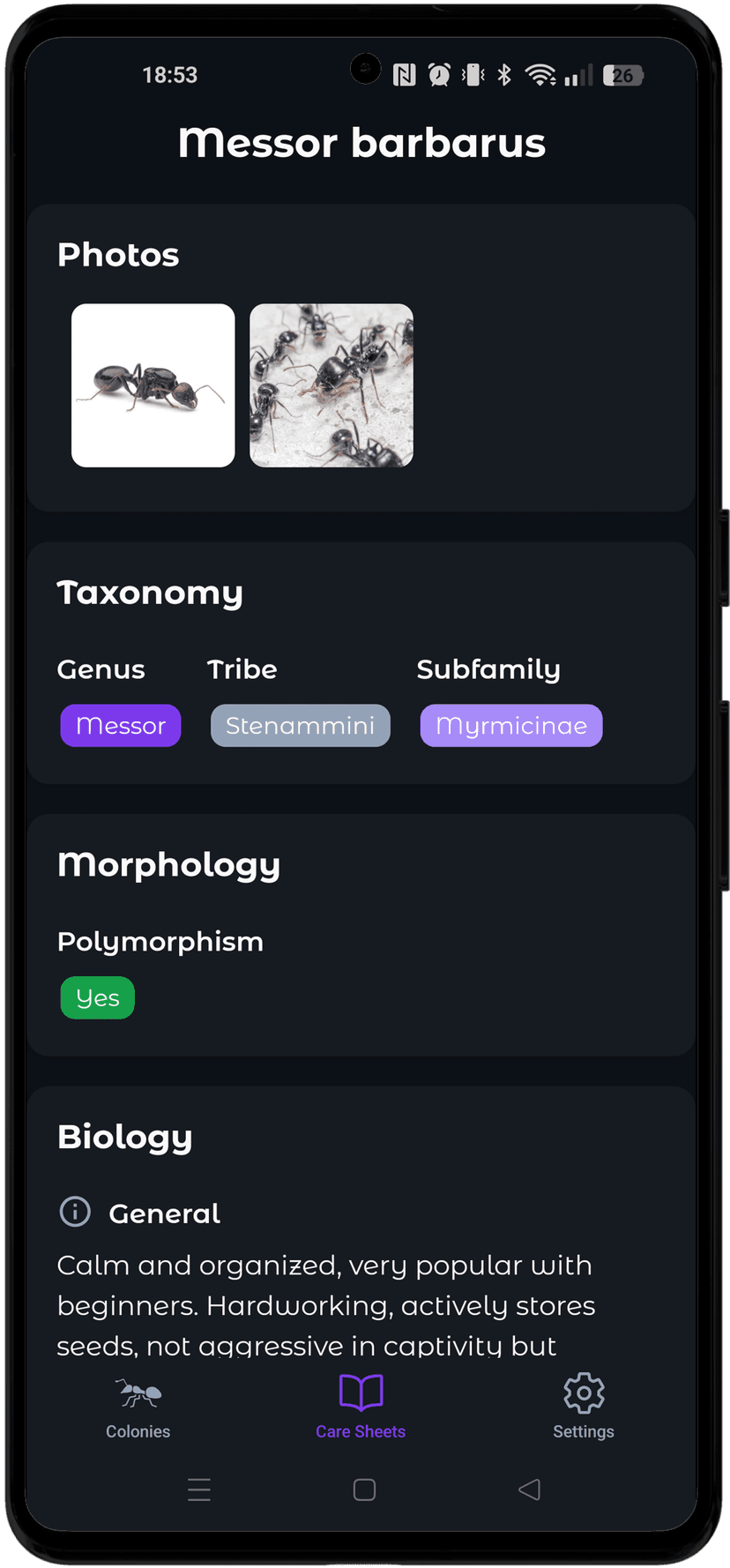 All breeding sheets