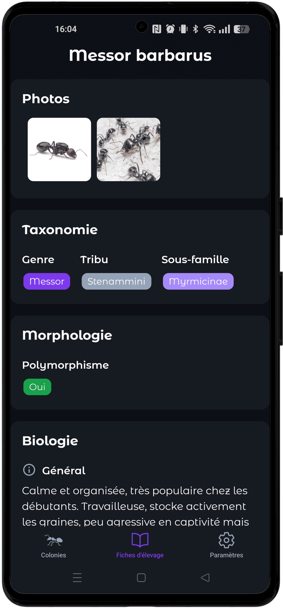 Toutes les fiches d'élevage